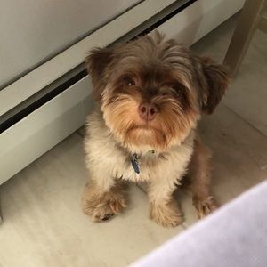 Meet your Posher, Jackie